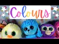 Beanie Boo - Colours