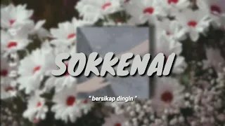 Download Sokkenai - RADWIMPS, ( Kobasolo 'Aizawa' cover ) | Lirik + Terjemahan Indonesia MP3