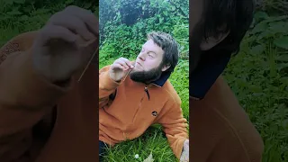 قرار نیست اینو در مورد گل مینا بدونی     شورت  گل مینا دندنها