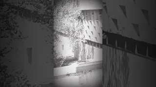 بدونك هذي الحياة فراغ 