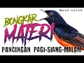 Download Lagu PANCINGAN MURAI BATU GACOR AMPUH UNTUK PANCINGAN MURAI BATU AGAR BUNYI, EMOSI dan BONGKAR MATERI