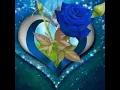 Download Lagu 🌿🌹🌿 Hẹn ngày con về:st Hoàng Minh...💖 nhạc hay #quynhmai,#chii ,