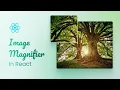 How to Create Image Magnifier in React JS