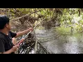 Download Lagu Terlihat Krreemmbulan Dibawah Rimbunan Bambu Hutan Seperti Buaya Ternyata Diluar Ekspektasi 