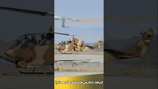 راز جمله معروف محمد رضا شاه چی بود دو کبرا برای یک تانک عراقی جنگ دانستنی Facts 