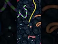Download Lagu https://youtu.be/ehpe8jHWKEw?si=3JL1XkVn4-w3DC6Mworms zone io ❤️biggest snake world record#😱Worms