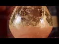 Gooey (Official Video) - Glass Animals