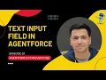 Episode 31 Add Text Input Field in Agentforce Using Custom Lightning Types