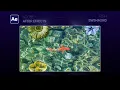 How to Animate a Swimming Fish in After Effects