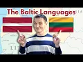The BALTIC Languages Lithuanian Latvian and Beyond