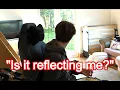 Tubbo s reflective TV almost reveals Ranboo s face