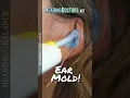 Download Lagu Ear Mold #audiology #hearinghealth #stgeorgeutah #hearing