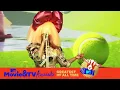 Download Lagu Sia Performs \