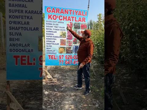 Toʻraqoʻrgʻon tumanida ishonchli mevali koʻchatlar