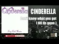 Download Lagu CINDERELLA - DON'T KNOW WHAT YOU GOT  ( TILL ITS GONE )  (HQ)