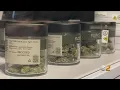 Crowds pack into New York s first retail marijuana dispensary