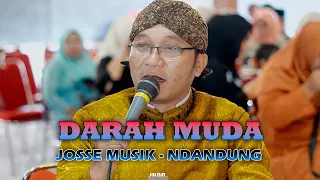 darah muda ndandung