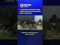 11 arrested in violent gang crime operation in SW Miami-Dade police say