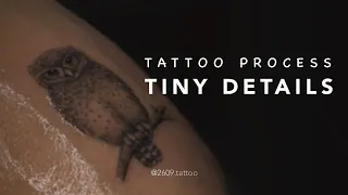 Tiny Owl Tattoo Detailed Tattoo Process