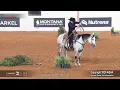 2025 Select Ranch Trail World Champion