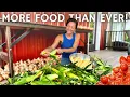 Download Lagu Growing MORE FOOD THAN EVER for Our Family of 6 (on 5 1/2 acres)