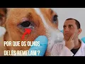 Channel