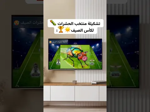 تشكيلة منتخب الحشوات!!