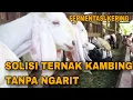 Download Lagu Cara membuat fermentasi kering untuk pakan kambing
