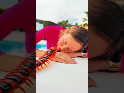 Very Long Bug 😂 #shorts #youtubeshorts