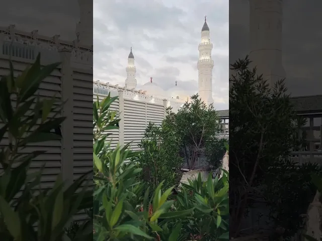 ⁣قُلۡ أَرَءَیۡتَكُمۡ إِنۡ أَتَىٰكُمۡ عَذَابُ ٱللَّهِ بَغۡتَةً أَوۡ جَهۡرَةً .. || الشيخ سعد الغامدي