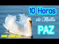 Lagu os melhores hinos de reflexão e meditação - com muita Paz - BONS HINOS CCB