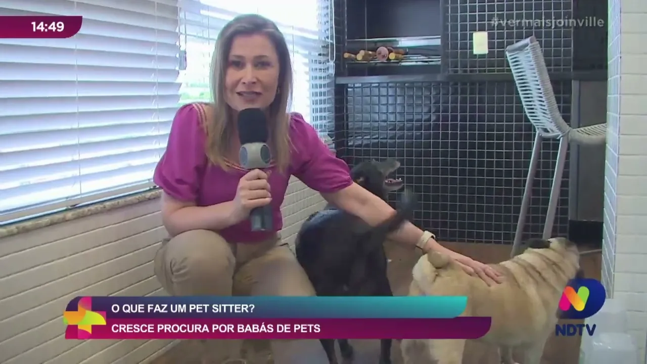 O que faz um Pet Sitter? Cresce procura por babás de pets