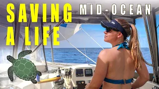 A Lucky Escape | Ocean Catamaran Sailing – Sailing Florence Ep.202