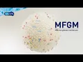 What is MFGM?