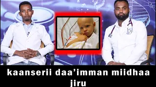 Kaanserii Daa Imman Miidhaa Jiru 