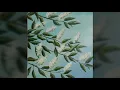 Дмитрий Гнатюк - Черемшина