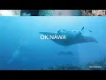 A Beginner’s Guide To Okinawa, Japan