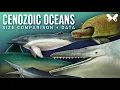 Aquatic animals of the Cenozoic Size comparison paleoart