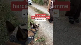 Faut arrêter ça 😱 #femme #malinois #ninolemalou