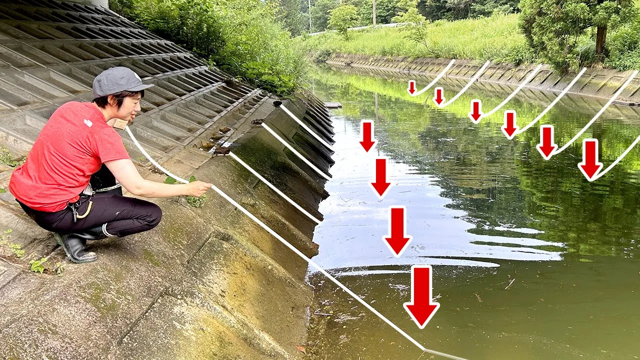 糸と針だけの「罠を30個」落とすと・・・ウナギが大量に!?
