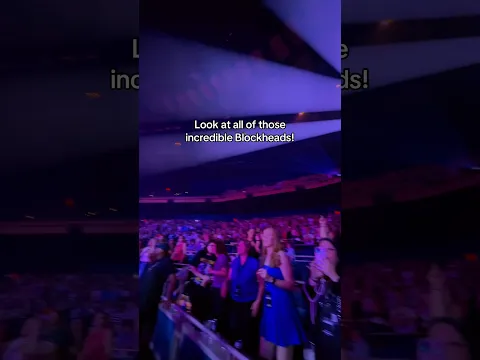 We have the best fans! #shorts #blockheads #nkotb #newkidsontheblock