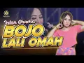 Download Lagu Intan Chacha - Bojo Lali Omah (Official Music Video)