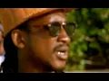 Aswad - Shine