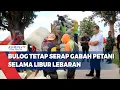 Download Lagu Bulog Tetap Serap Gabah Petani Selama Libur Lebaran