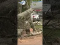 FEMA crews to assess tornado damage in Cass County