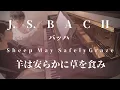 Lagu バッハ「羊は安らかに草を食み」連弾 Bach : Sheep May Safely Graze BWV.208