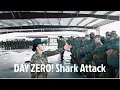 DAY ZERO The Shark Attack