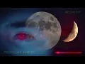 Turnstile Ft. Blood Orange - Alien Love Call (VISUAL)