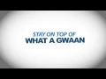 Gleaner ONLINE - News Access