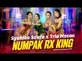 Download Lagu Syahiba Saufa X Trio Macan - Numpak RX King (Official Music Video) | Live Version
